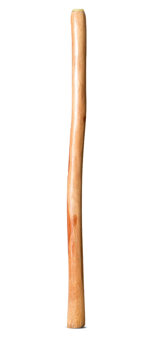 Natural Finish Didgeridoo (TW1771)